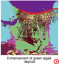 Accéder à la galerie